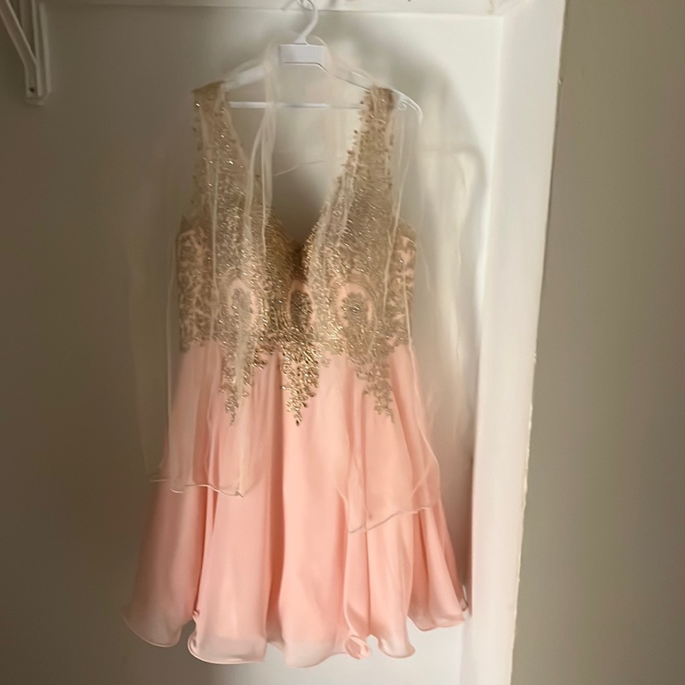 A Quince/prom dress.
